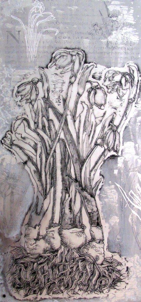 Narcisos, 2014 / 41 x 91cms / técnica mixta sobre placa de aluminio